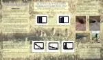 Selective Nest-Lining Materials in Burrowing Owls: Manure, Grass, and Adaptive Functions - slide 1