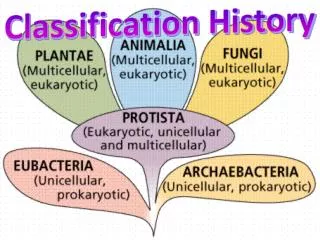 Classification History