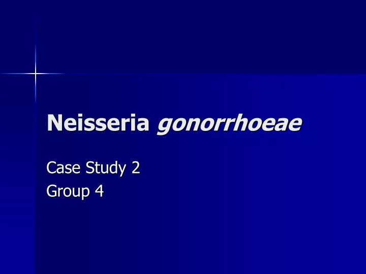 neisseria gonorrhoeae