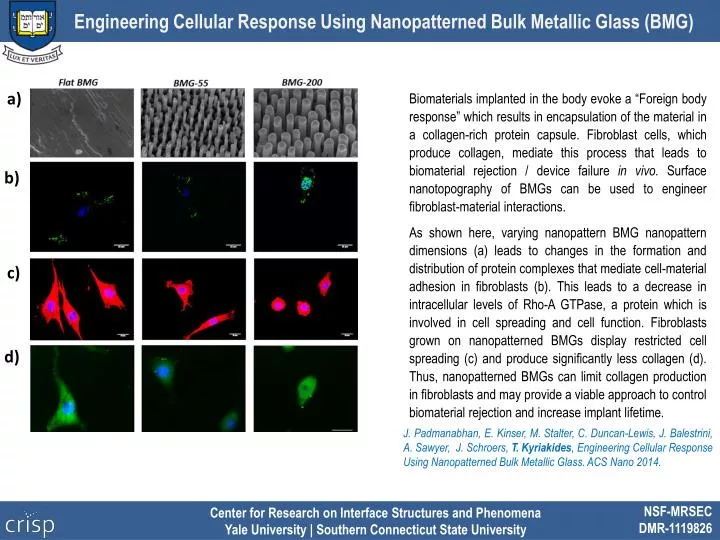 engineering cellular response using nanopatterned bulk metallic glass bmg
