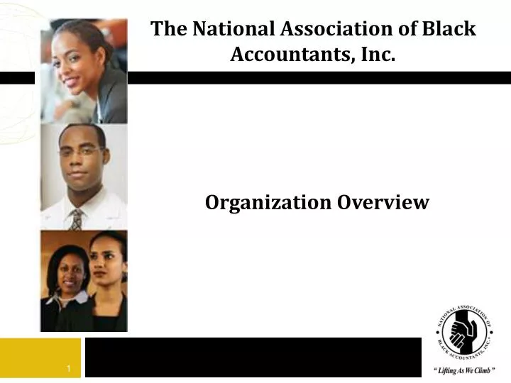 the national association of black accountants inc