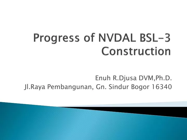 progress of nvdal bsl 3 construction