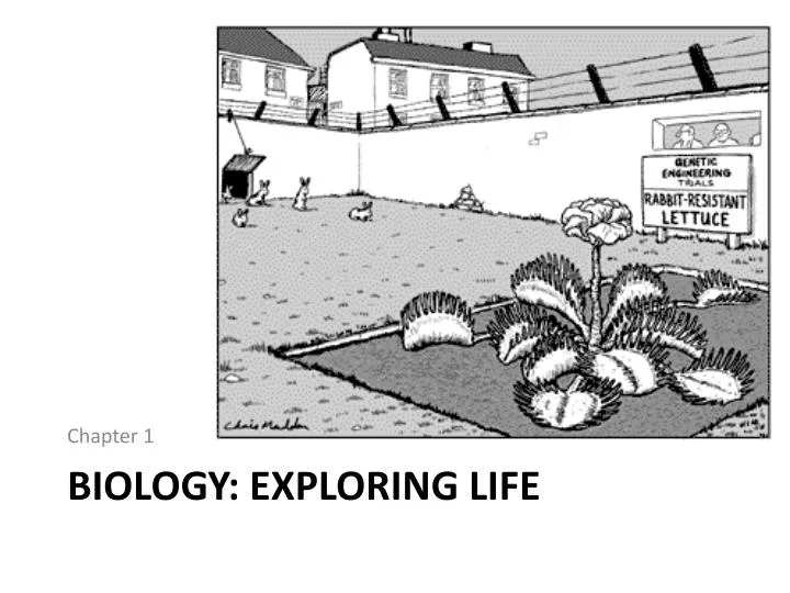 biology exploring life