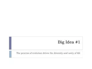 big idea 1