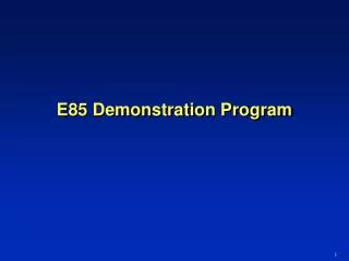 E85 Demonstration Program