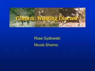 Rose Sydlowski Nicole Sheimo