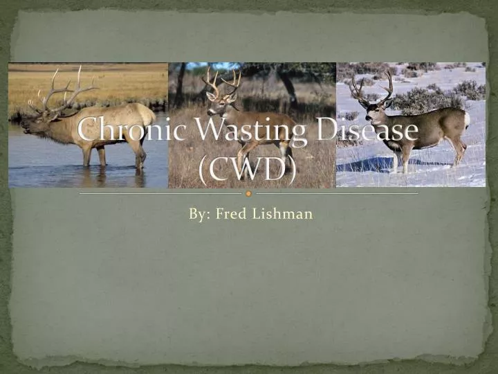 chronic wasting disease cwd