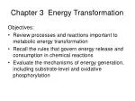 Understanding Energy Transformation: Key Processes and Mechanisms - slide 1