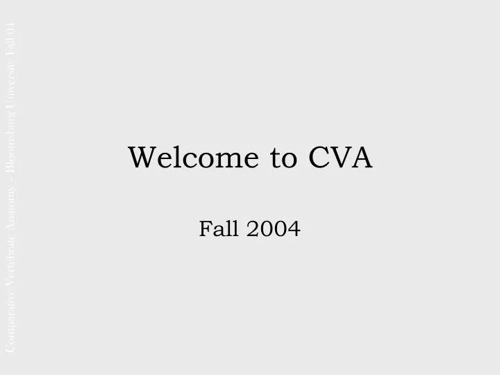 welcome to cva