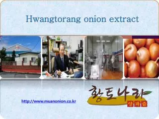 Hwangtorang onion extract