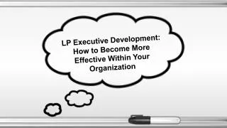 LP Executive Development: How to Become More Effective Within Your Organization