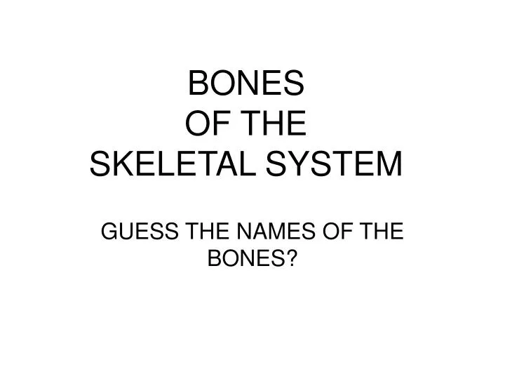 bones of the skeletal system