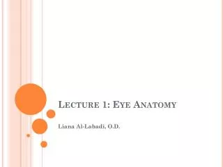 Lecture 1: Eye Anatomy