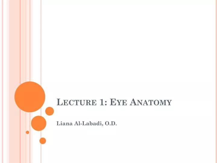 lecture 1 eye anatomy