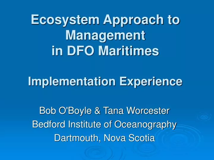 ecosystem approach to management in dfo maritimes implementation experience