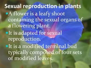 Sexual reproduction in plants