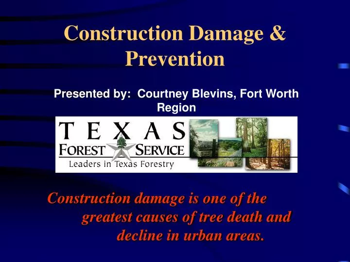 construction damage prevention