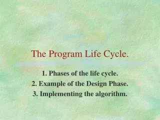 The Program Life Cycle.