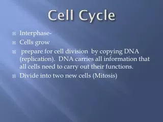 cell cycle