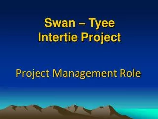 Project Management Role