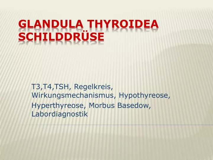 t3 t4 tsh regelkreis wirkungsmechanismus hypothyreose hyperthyreose morbus basedow labordiagnostik