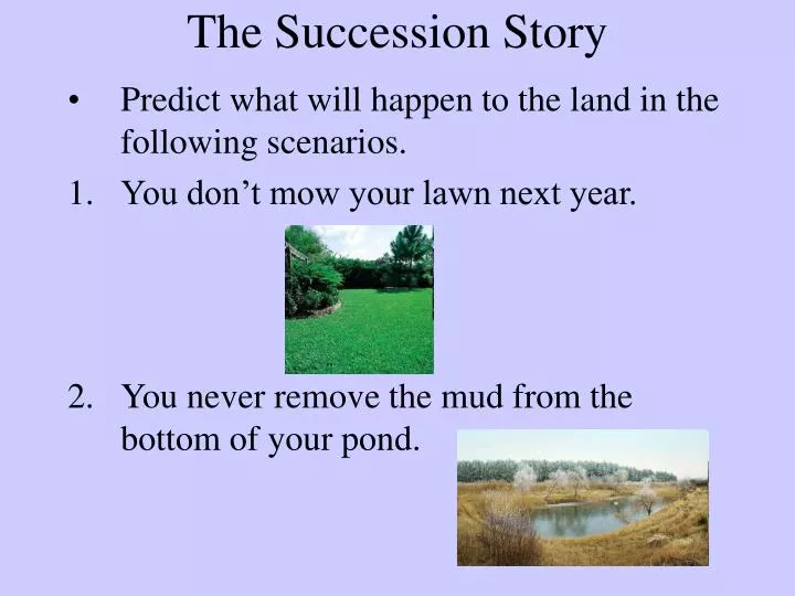 the succession story