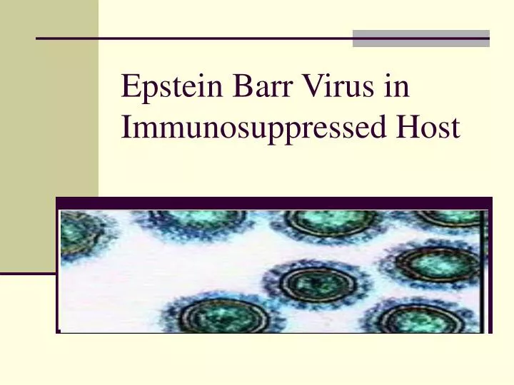epstein barr virus in immunosuppressed host