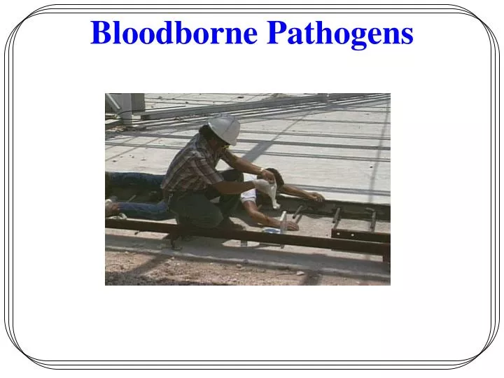 bloodborne pathogens