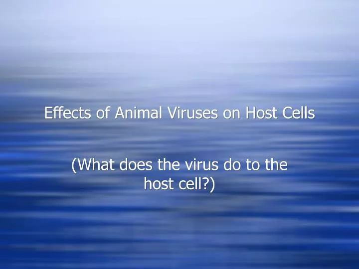 effects of animal viruses on host cells