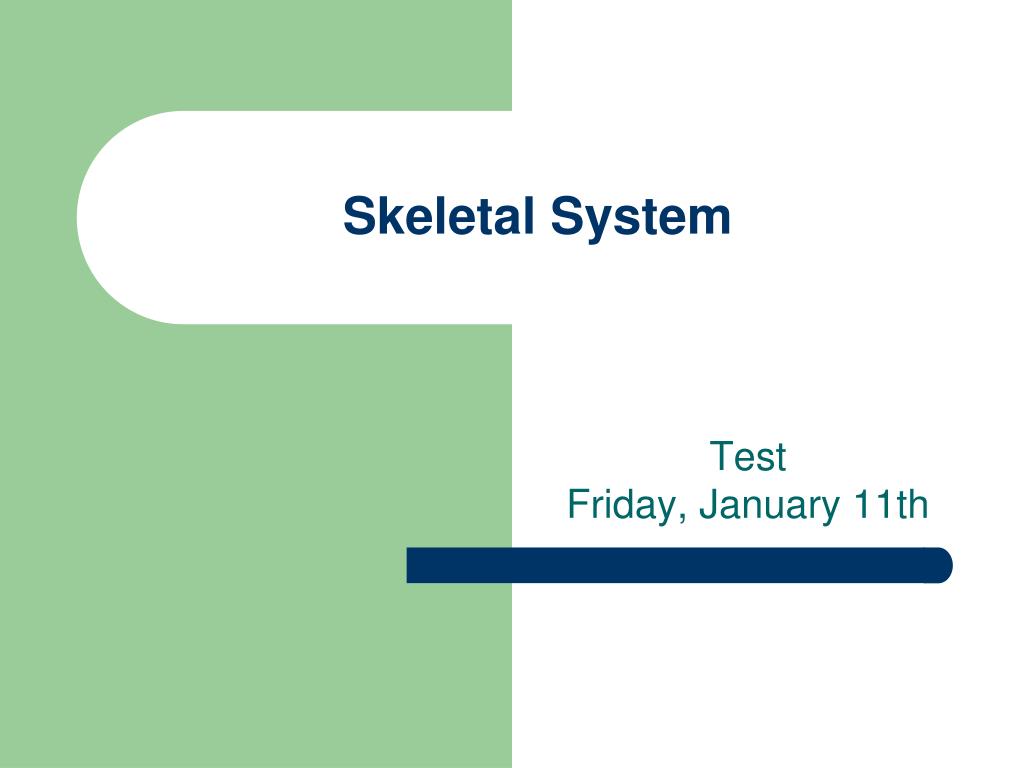 PPT - Skeletal System PowerPoint Presentation, free download - ID:6708029