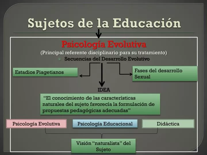 sujetos de la educaci n