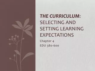 The Curriculum : Selecting and Setting Learning expectations