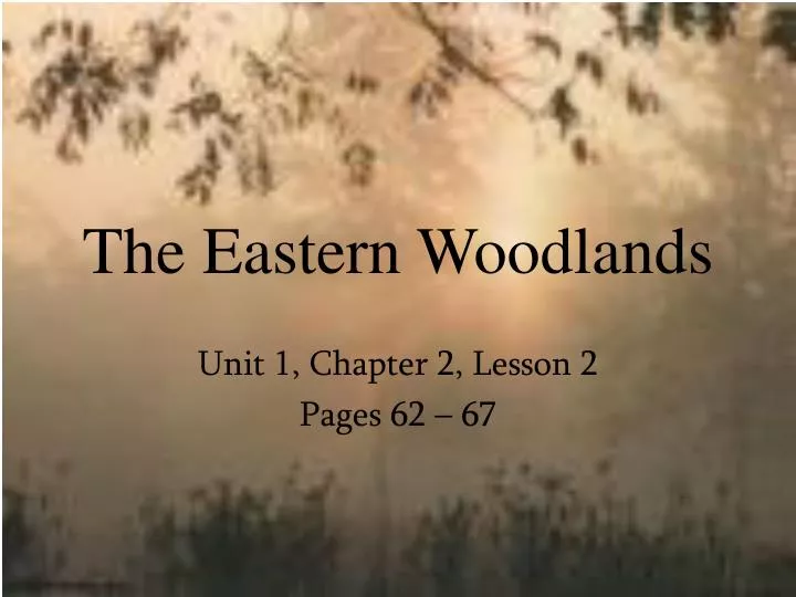 the eastern woodlands