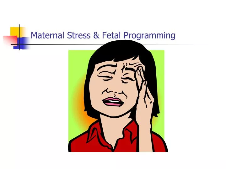 maternal stress fetal programming