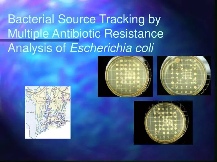 bacterial source tracking by multiple antibiotic resistance analysis of escherichia coli