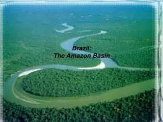 Brazil: The Amazon Basin