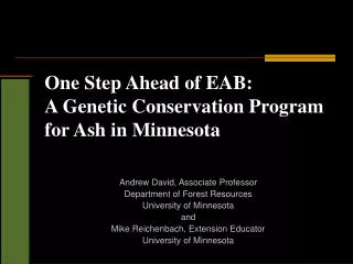 One Step Ahead of EAB: A Genetic Conservation Program for Ash in Minnesota