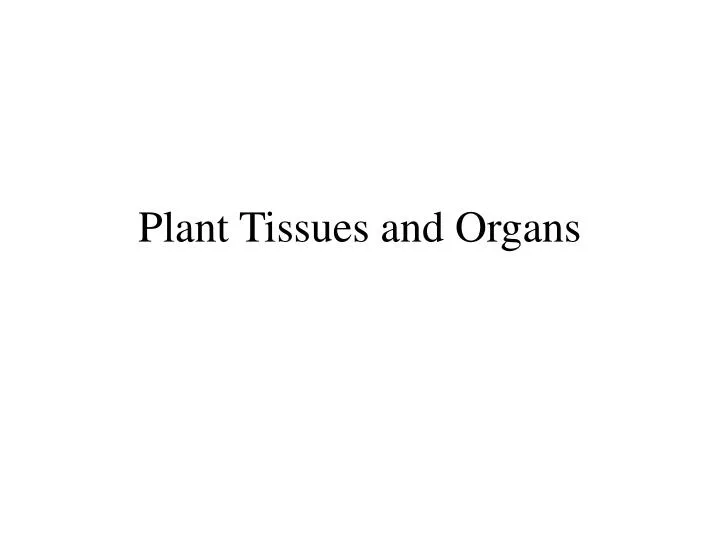 plant tissues and organs