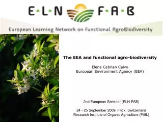 The EEA and functional agro-biodiversity Elena Cebrian Calvo European Environment Agency (EEA)