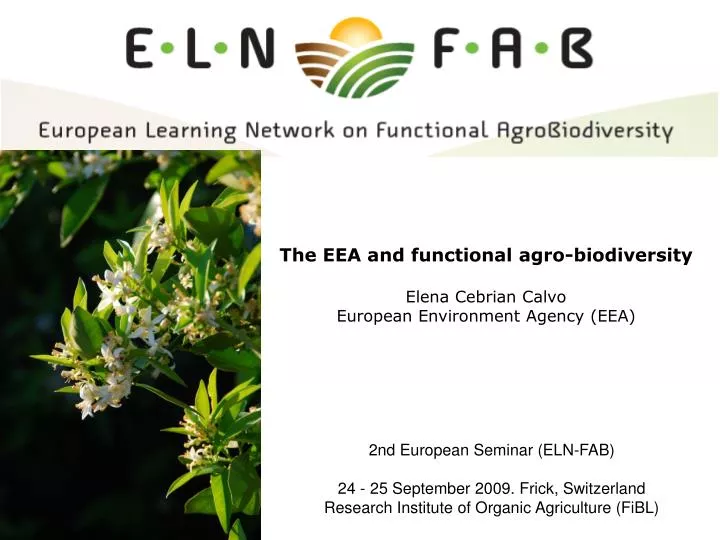 the eea and functional agro biodiversity elena cebrian calvo european environment agency eea