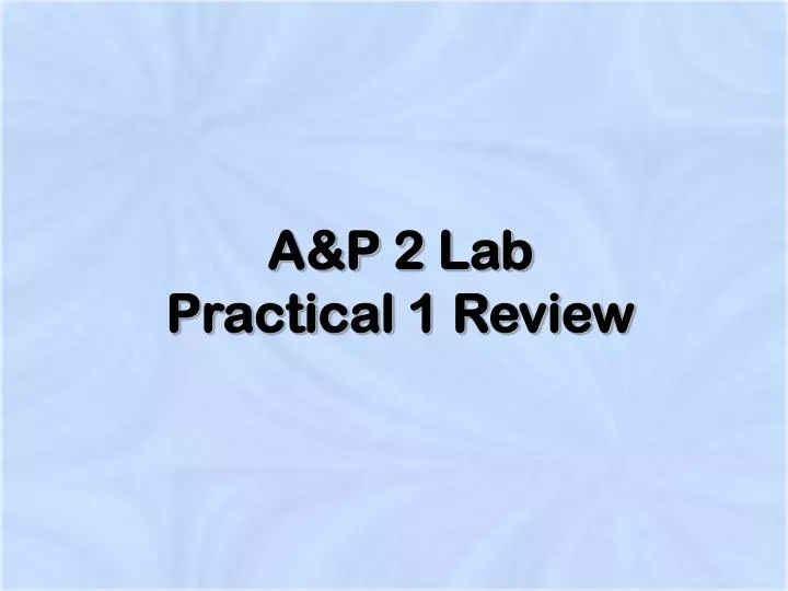 a p 2 lab practical 1 review