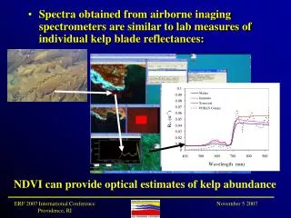 NDVI can provide optical estimates of kelp abundance