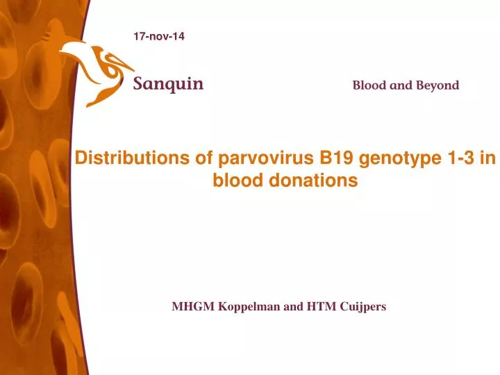 distributions of parvovirus b19 genotype 1 3 in blood donations