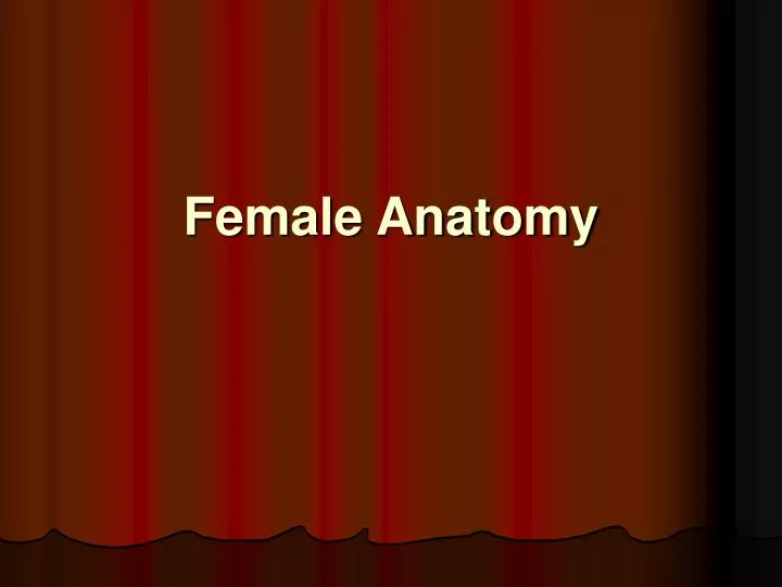 female anatomy