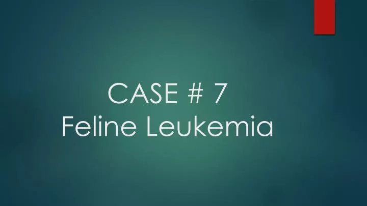 case 7 feline leukemia