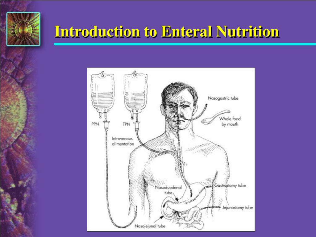 PPT - Introduction to Enteral Nutrition PowerPoint Presentation, free ...