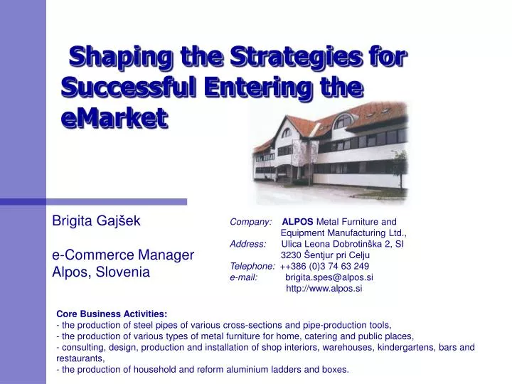 shaping the strategies for successful entering the emarket
