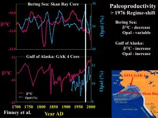 Paleoproductivity