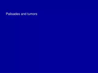 Palisades and tumors