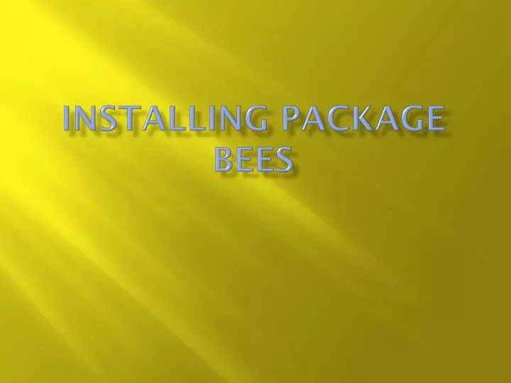 installing package bees